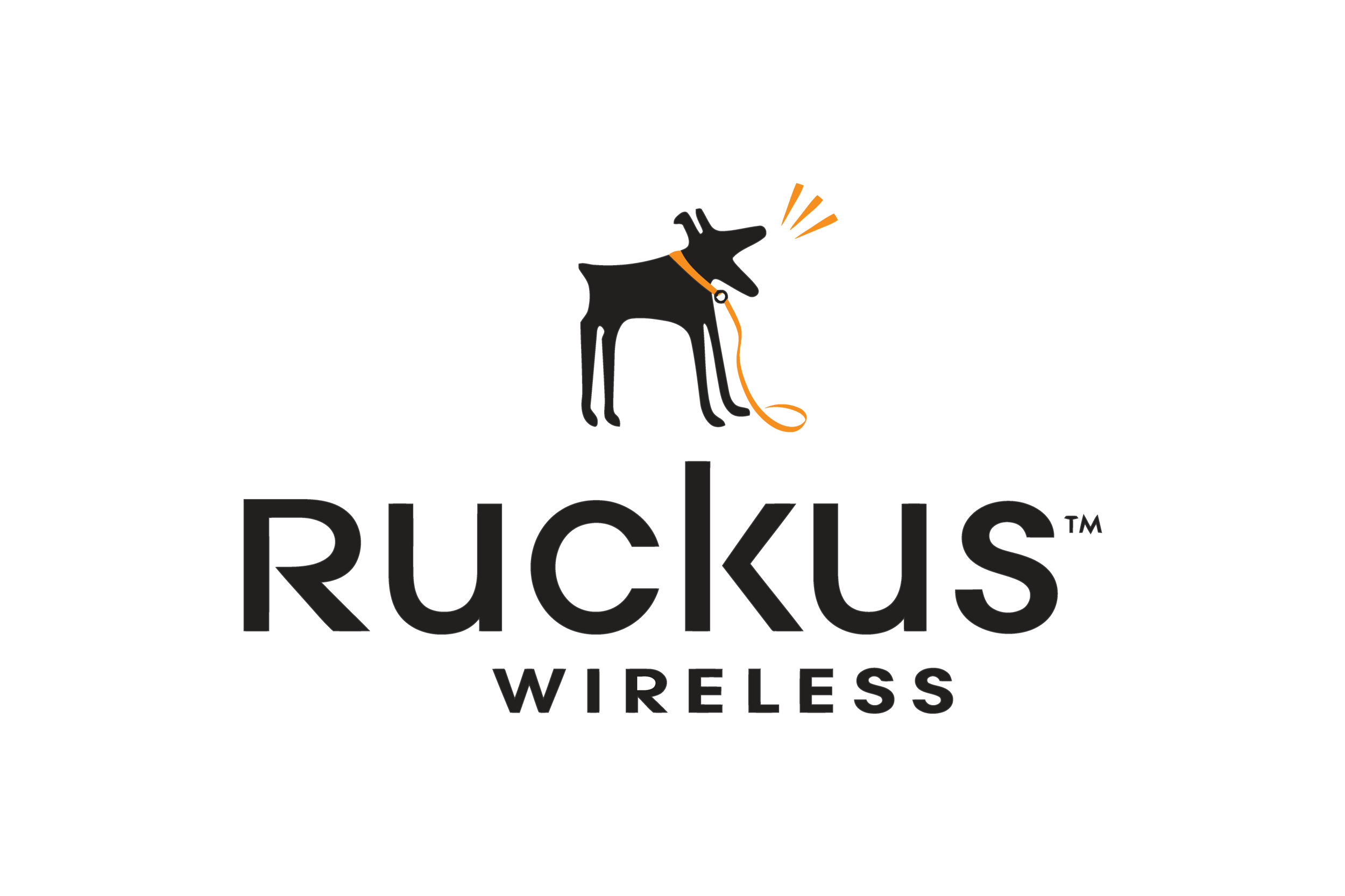 Ruckus Wireless