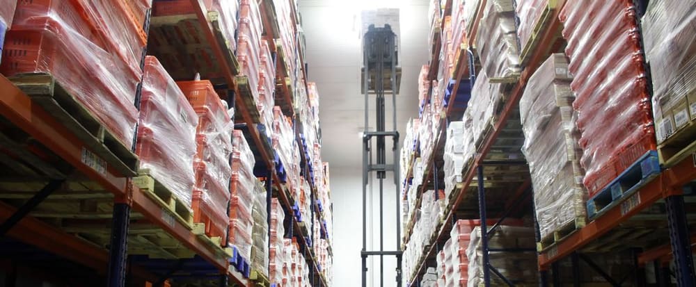 Cold storage pallet racking at FrigoService