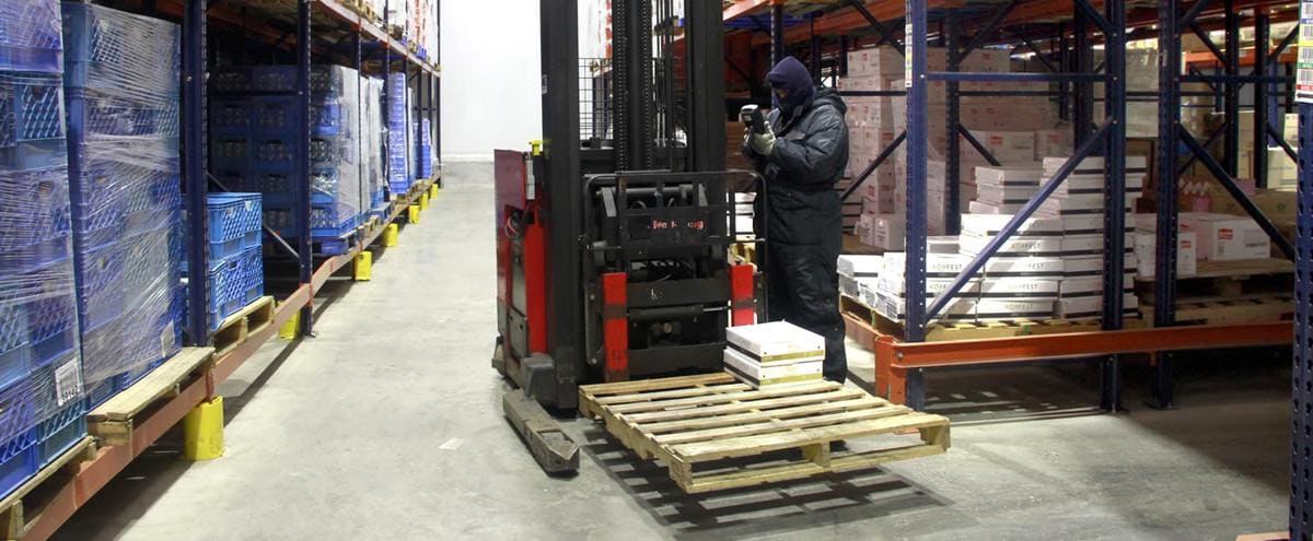 Frozen picking operations at FrigoService